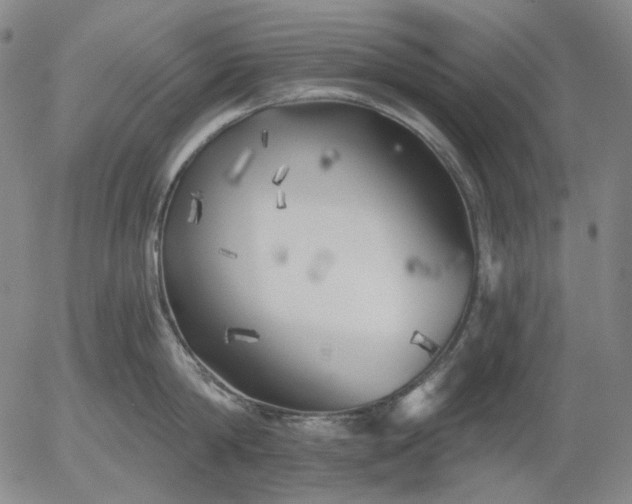 X0000055990814200509021637