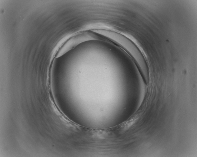 X0000055990815200509021637