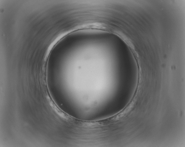 X0000055990816200509021637