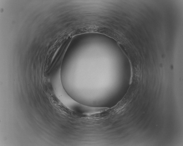 X0000055990818200509021636