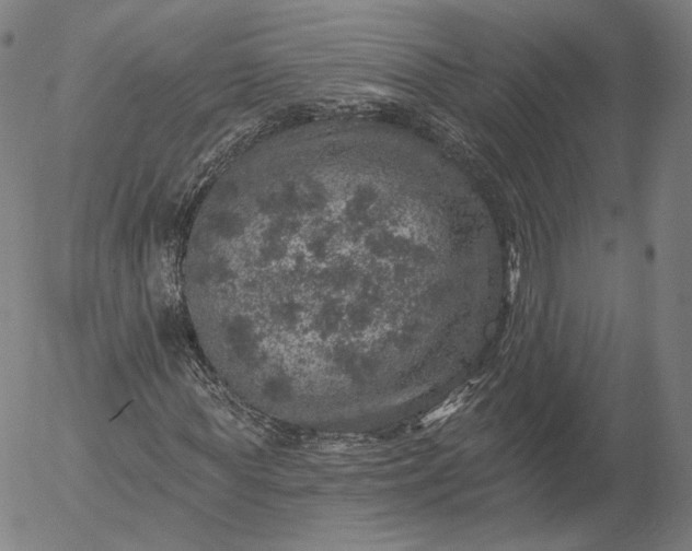 X0000055990819200509021636