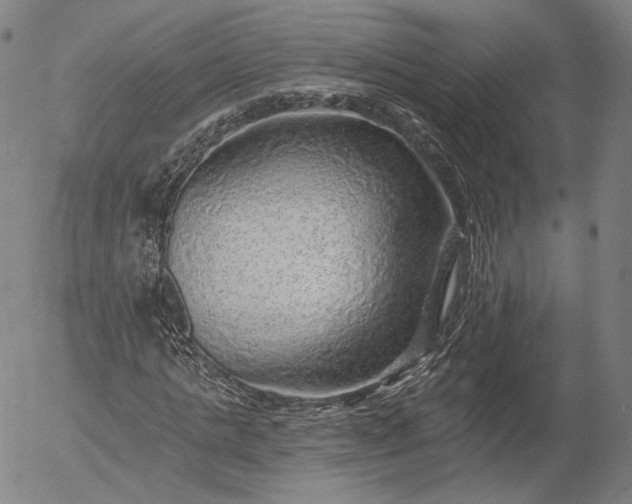 X0000055990821200509021636