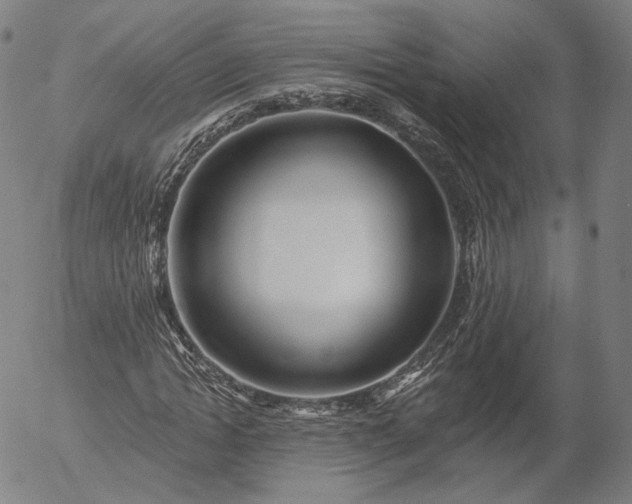 X0000055990822200509021636