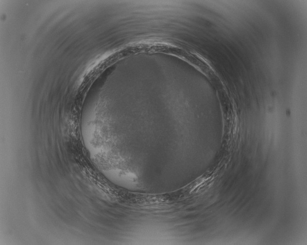 X0000055990823200509021636