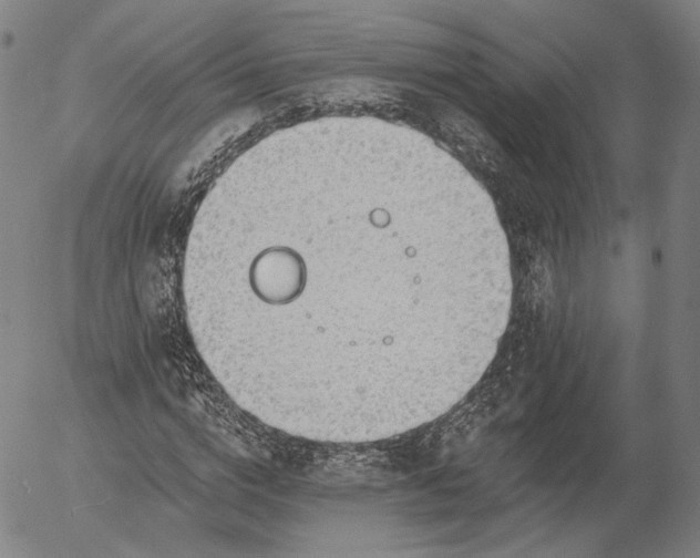 X0000055990824200509021636