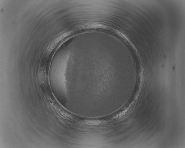 X0000055990825200509021636