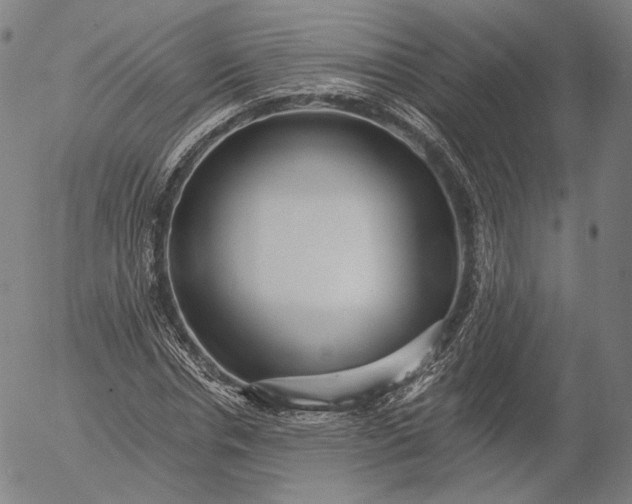 X0000055990826200509021636