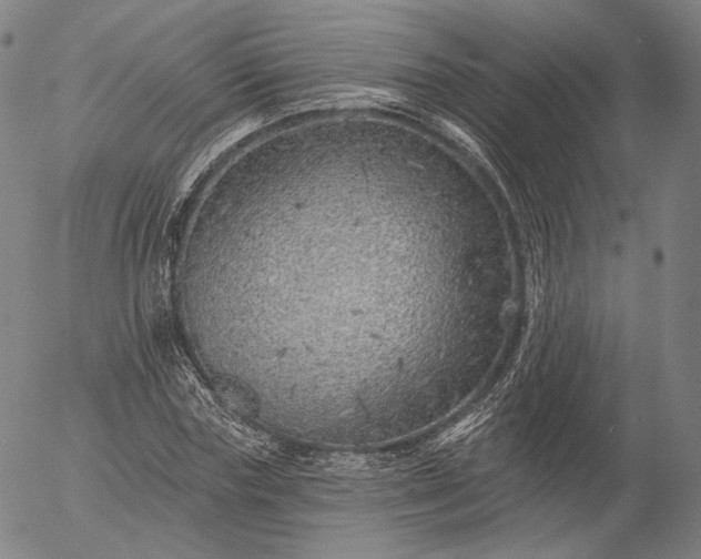 X0000055990827200509021636