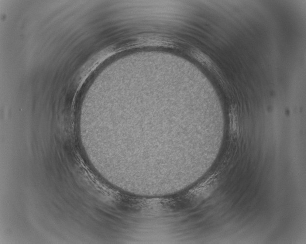 X0000055990828200509021636