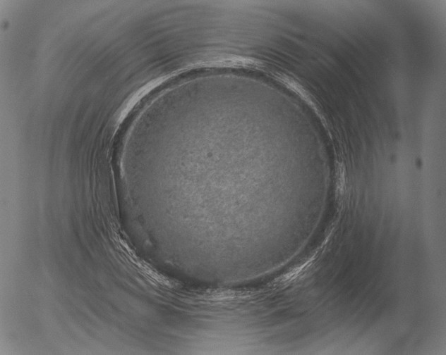 X0000055990829200509021636