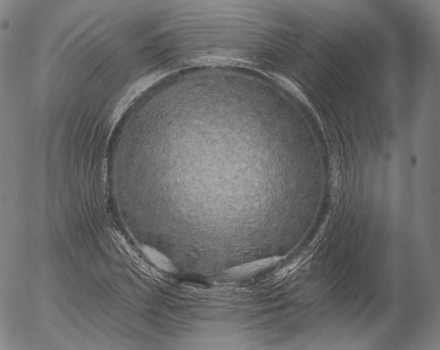 X0000055990831200509021636