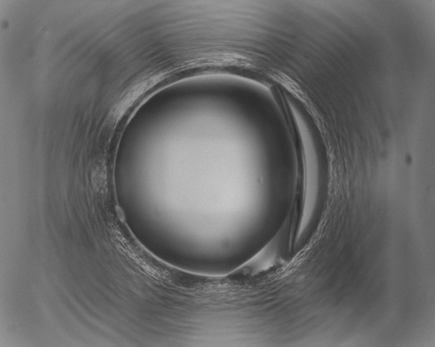 X0000055990834200509021636