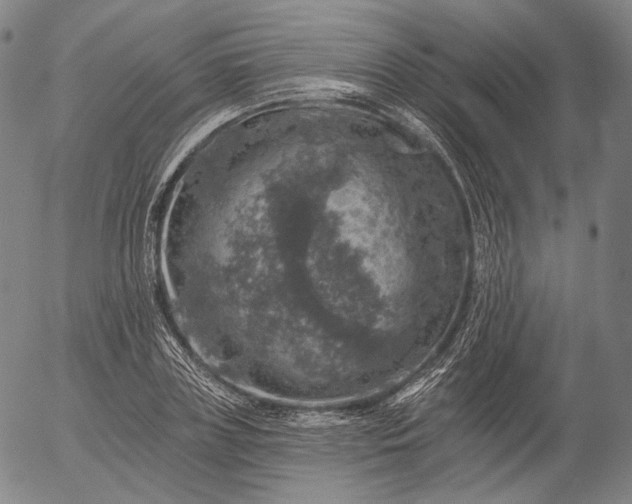 X0000055990835200509021636