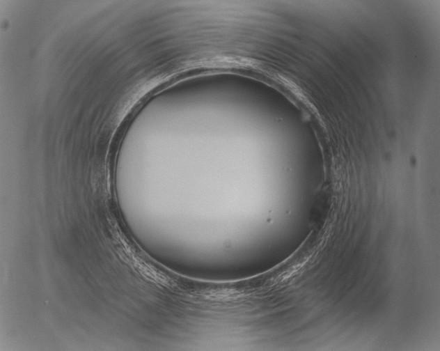 X0000055990837200509021636