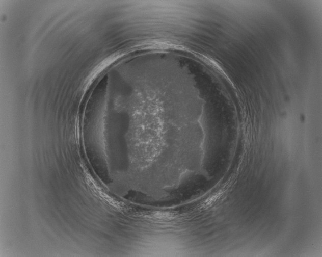 X0000055990839200509021636