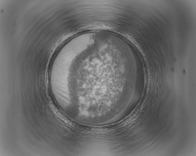 X0000055990840200509021636