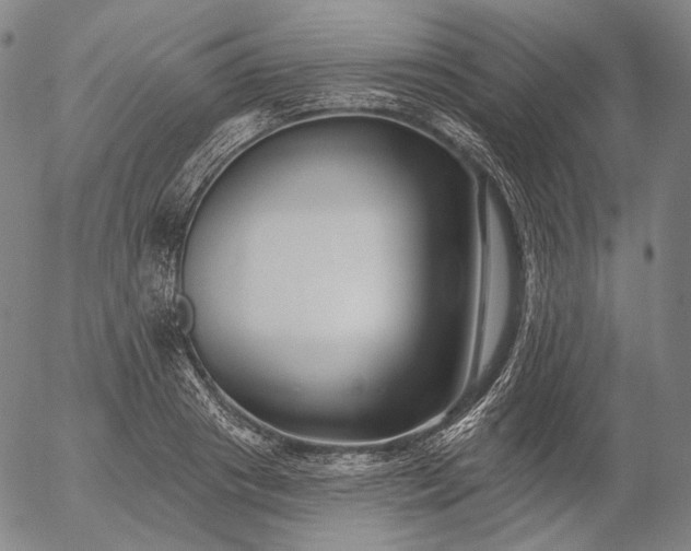 X0000055990841200509021636