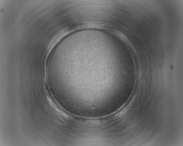 X0000055990844200509021636