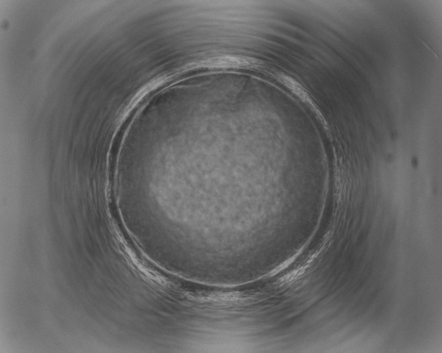 X0000055990845200509021636