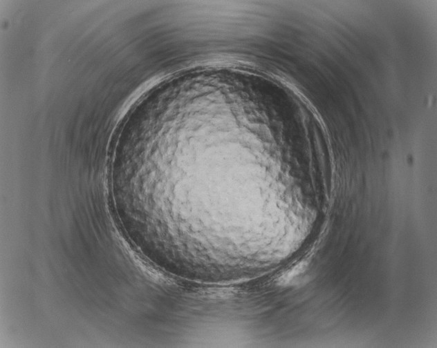 X0000055990853200509021636