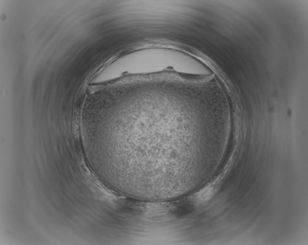 X0000055990857200509021636