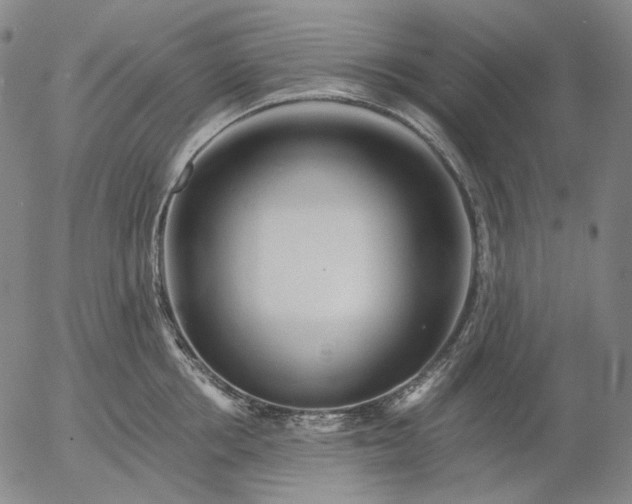 X0000055990858200509021636