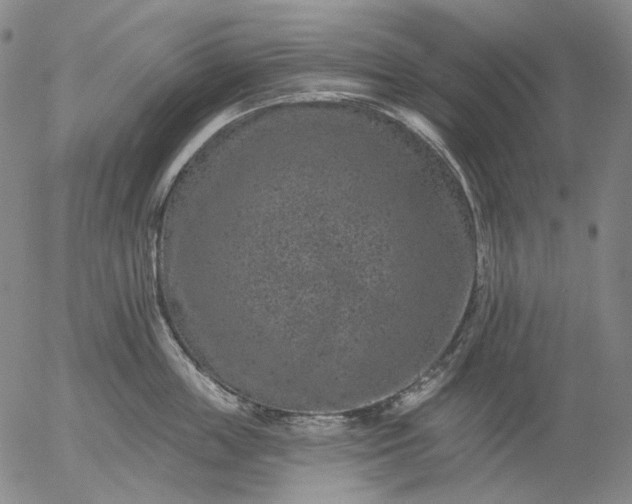 X0000055990859200509021636