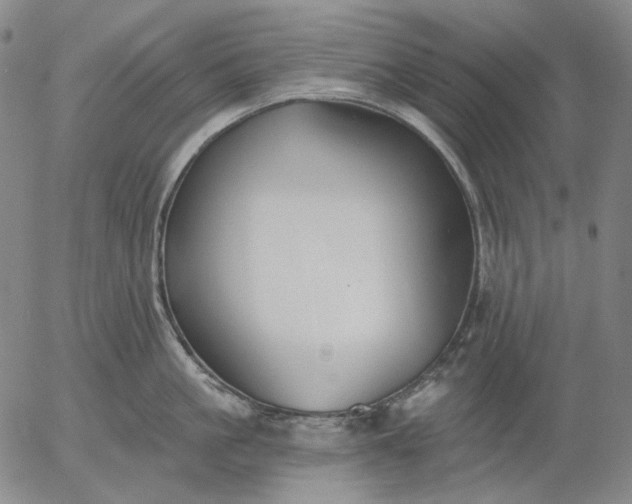 X0000055990861200509021636