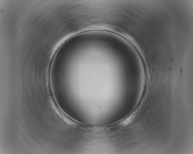 X0000055990862200509021636