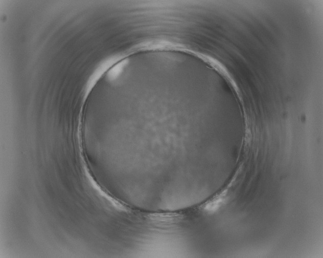 X0000055990863200509021637