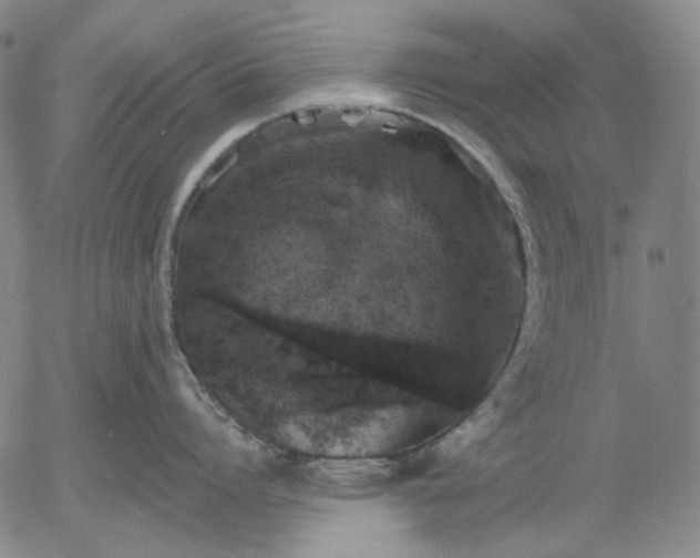 X0000055990864200509021637