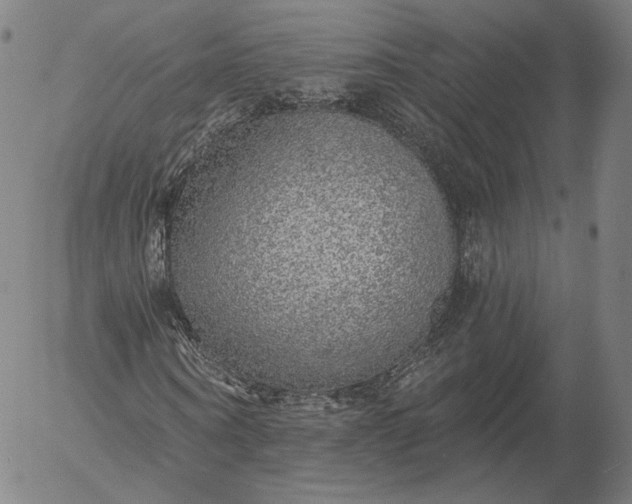 X0000055990866200509021636