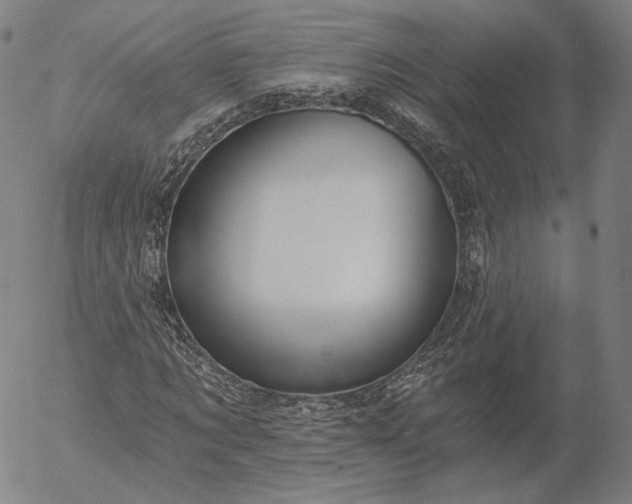 X0000055990869200509021636