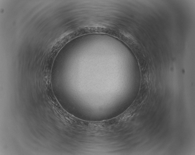 X0000055990870200509021636