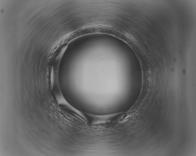 X0000055990872200509021635