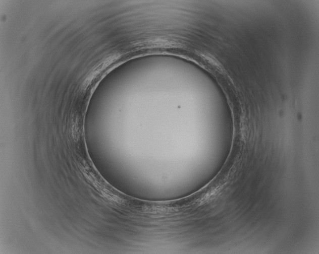 X0000055990873200509021635