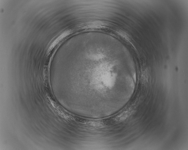 X0000055990874200509021635