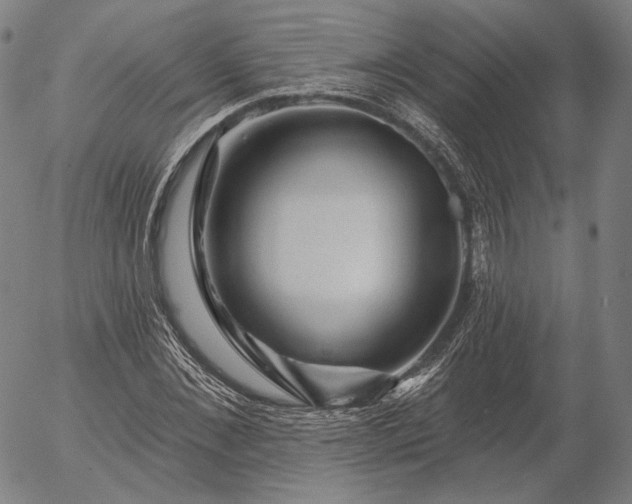 X0000055990876200509021635