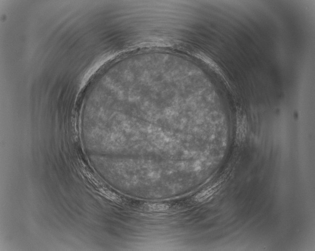 X0000055990878200509021635