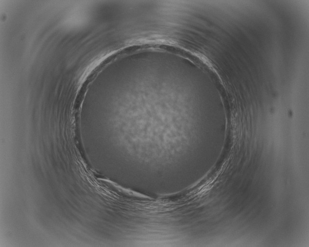 X0000055990879200509021635