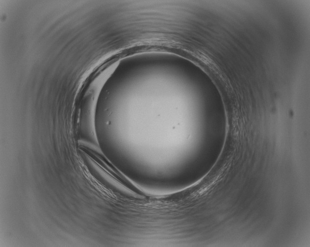 X0000055990880200509021635