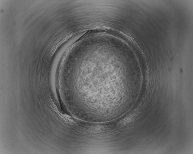 X0000055990881200509021635