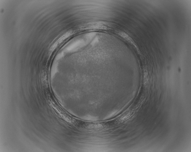 X0000055990882200509021635