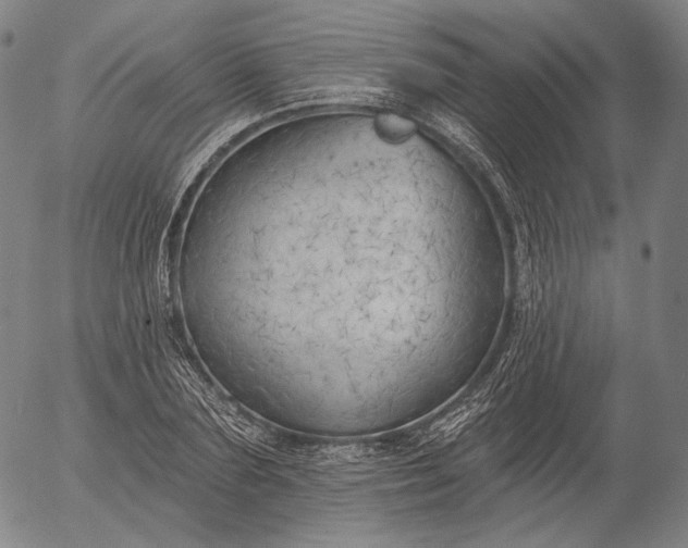 X0000055990883200509021635