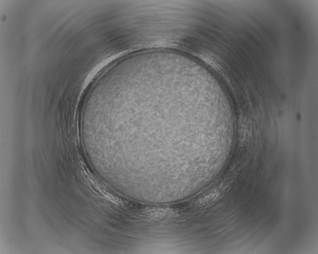 X0000055990886200509021635