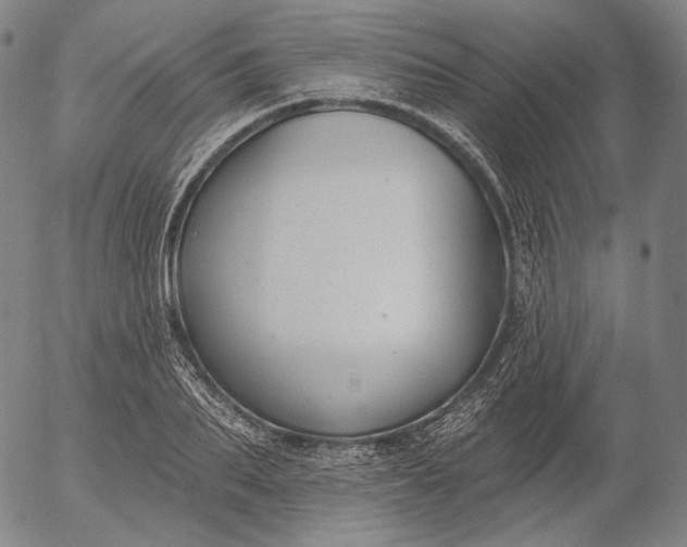 X0000055990887200509021635