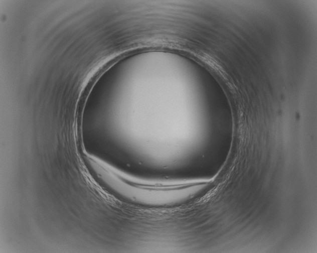 X0000055990888200509021635