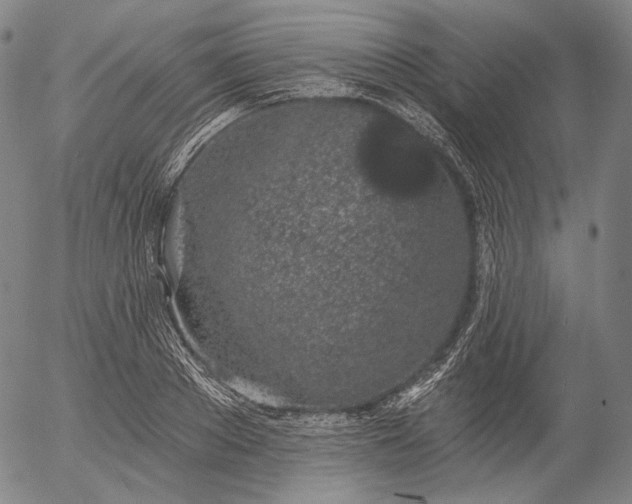 X0000055990889200509021635