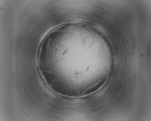 X0000055990891200509021635