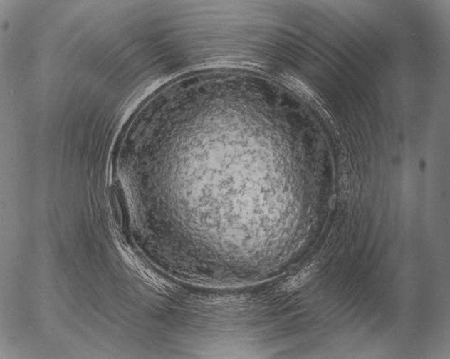 X0000055990892200509021635